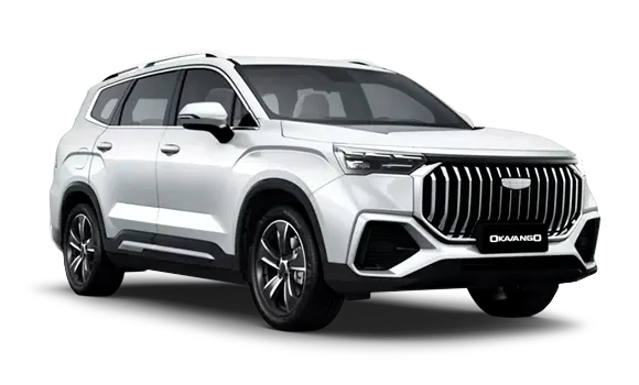 selected car
