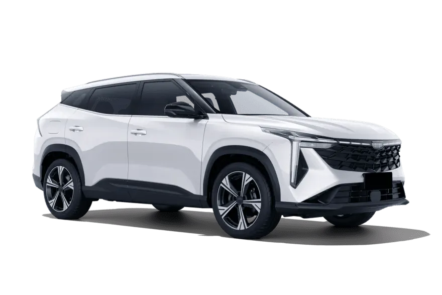 selected car