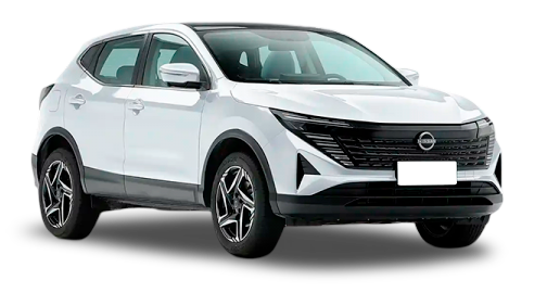 selected car