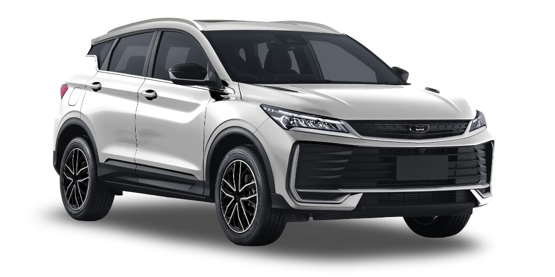 selected car